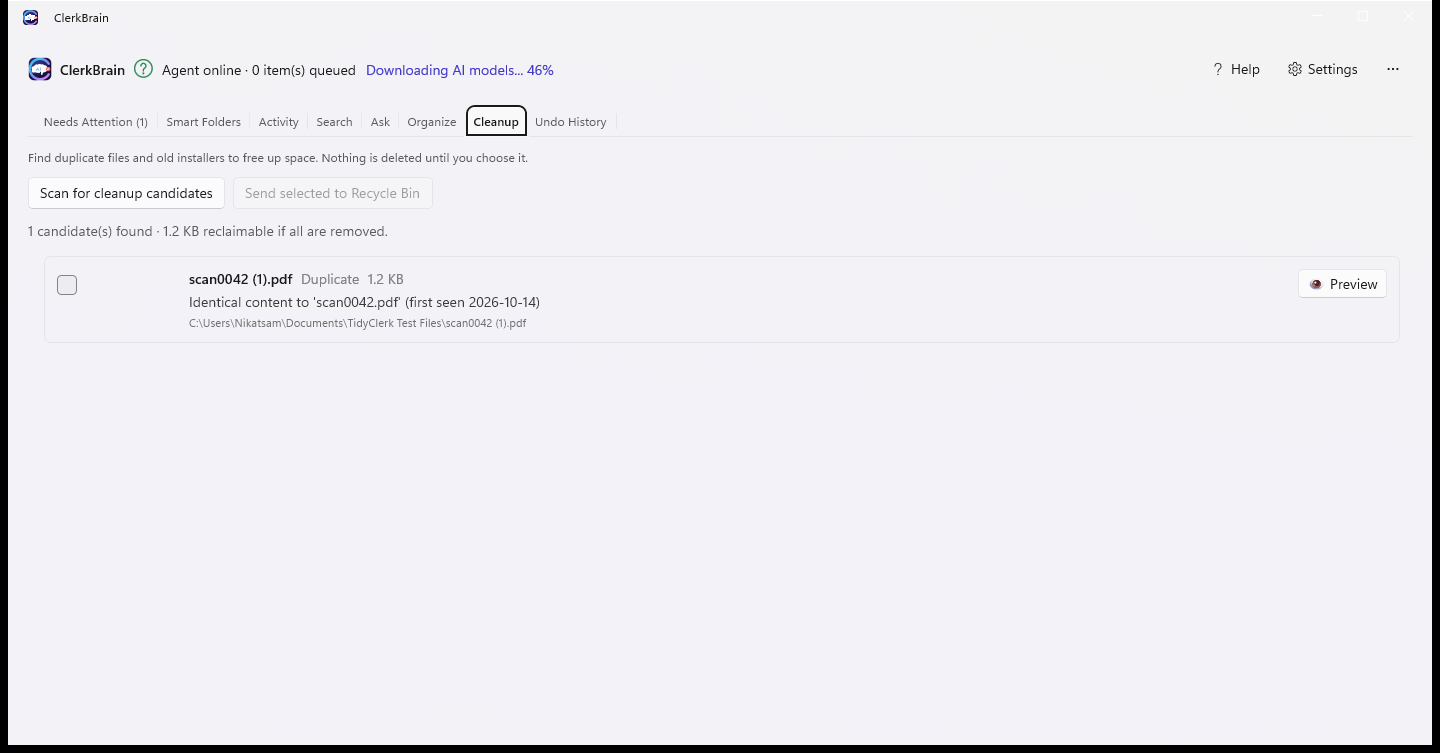 ClerkBrain showing a duplicate file found, ready to preview and clear to the Recycle Bin